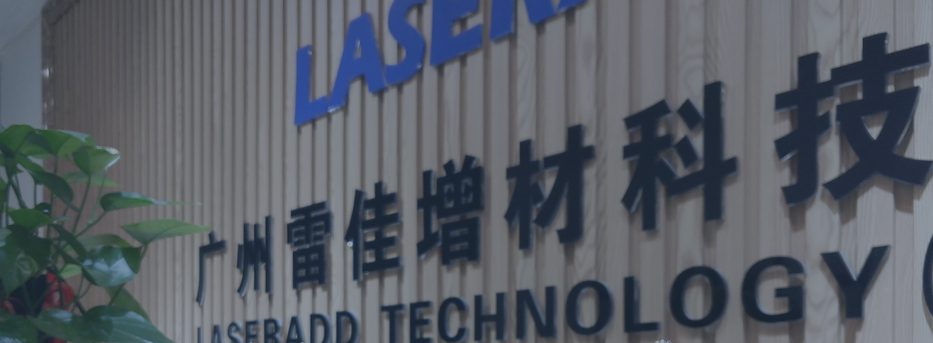 ��Ӯ���ʡ�(�й���)���޹�˾����